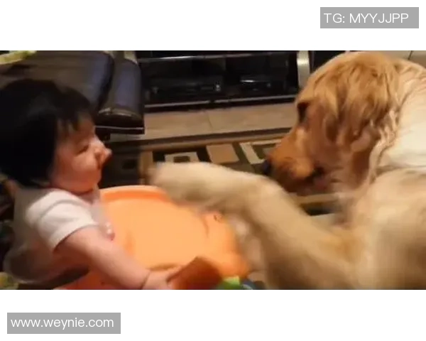 足球明星与暖心小孩的感人故事传递爱与希望的力量